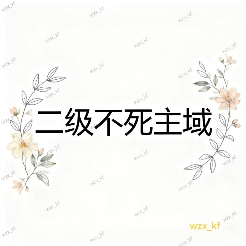 微信不死二级域名出售-鲸落星河-官网